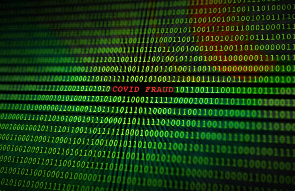 covid fraud